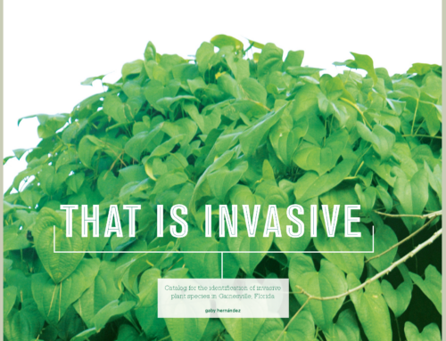 Invasive Plants Catalog